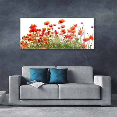 Plexiglas® Wall Art Poppies nature red