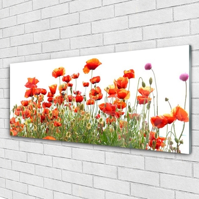 Plexiglas® Wall Art Poppies nature red