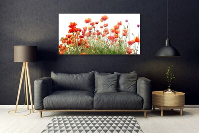 Plexiglas® Wall Art Poppies nature red