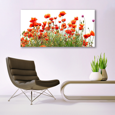 Plexiglas® Wall Art Poppies nature red