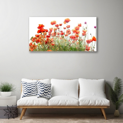 Plexiglas® Wall Art Poppies nature red