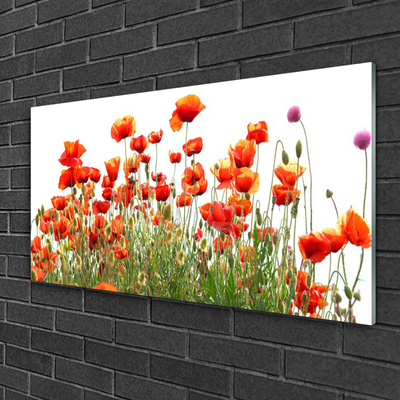 Plexiglas® Wall Art Poppies nature red