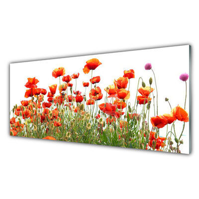 Plexiglas® Wall Art Poppies nature red