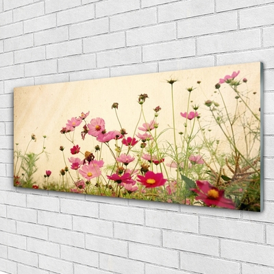 Plexiglas® Wall Art Flowers floral pink red