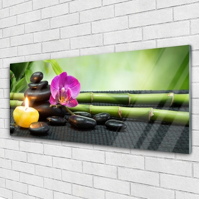 Plexiglas® Wall Art Bamboo flower stones candle art green pink black yellow