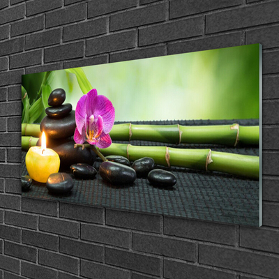 Plexiglas® Wall Art Bamboo flower stones candle art green pink black yellow