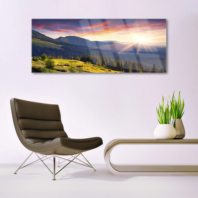 Plexiglas® Wall Art Mountain forest sun landscape blue green yellow