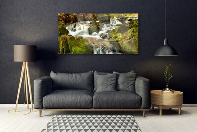 Plexiglas® Wall Art Waterfall rocks nature white green