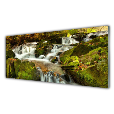 Plexiglas® Wall Art Waterfall rocks nature white green