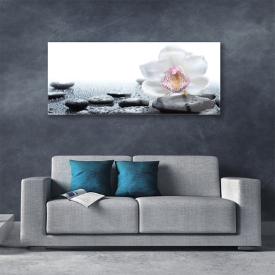 Plexiglas® Wall Art Flower stones art white black