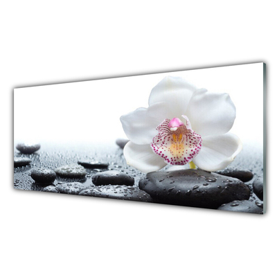 Plexiglas® Wall Art Flower stones art white black