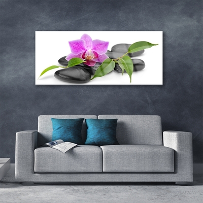 Plexiglas® Wall Art Flower stones art pink black