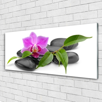 Plexiglas® Wall Art Flower stones art pink black