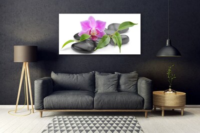 Plexiglas® Wall Art Flower stones art pink black