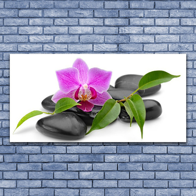 Plexiglas® Wall Art Flower stones art pink black