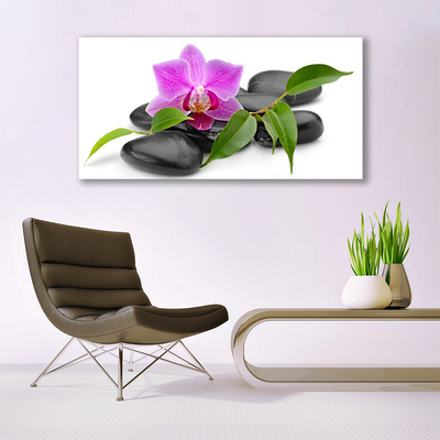 Plexiglas® Wall Art Flower stones art pink black