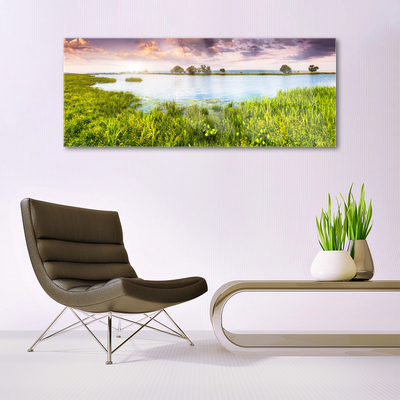 Plexiglas® Wall Art Grass lake nature green blue