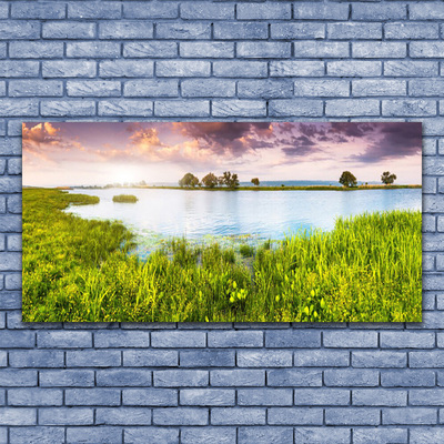 Plexiglas® Wall Art Grass lake nature green blue