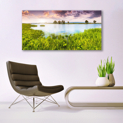 Plexiglas® Wall Art Grass lake nature green blue