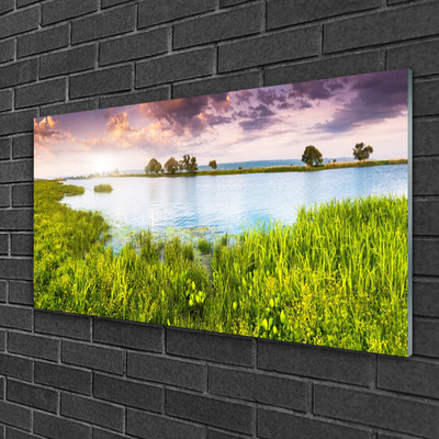 Plexiglas® Wall Art Grass lake nature green blue