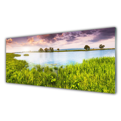 Plexiglas® Wall Art Grass lake nature green blue