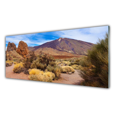 Plexiglas® Wall Art Mountains landscape green yellow brown grey