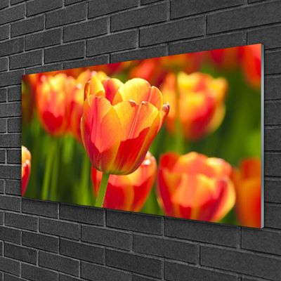 Plexiglas® Wall Art Tulips floral yellow red