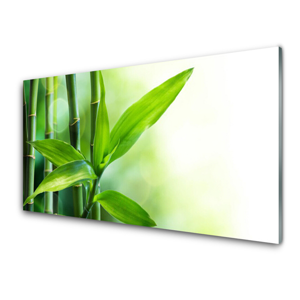 Plexiglas® Wall Art Bamboo canes floral green