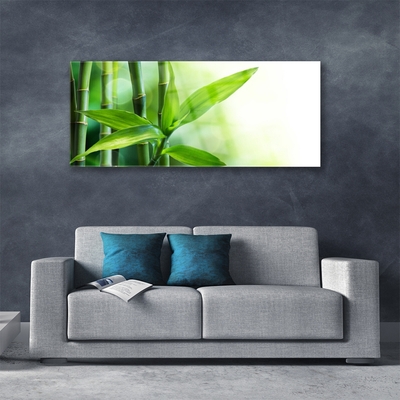 Plexiglas® Wall Art Bamboo canes floral green
