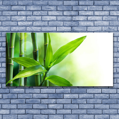 Plexiglas® Wall Art Bamboo canes floral green