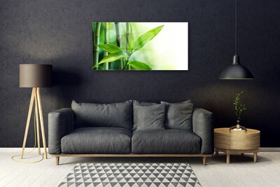 Plexiglas® Wall Art Bamboo canes floral green