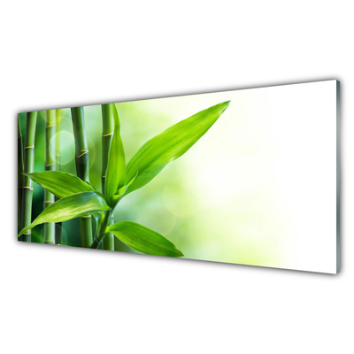 Plexiglas® Wall Art Bamboo canes floral green