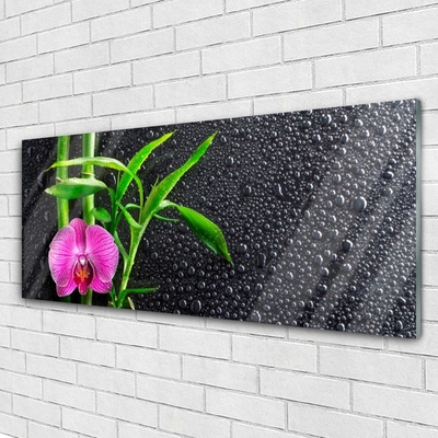 Plexiglas® Wall Art Bamboo tube flower floral pink green