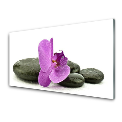 Plexiglas® Wall Art Flower stones art pink black