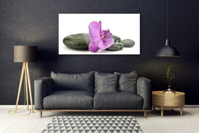 Plexiglas® Wall Art Flower stones art pink black