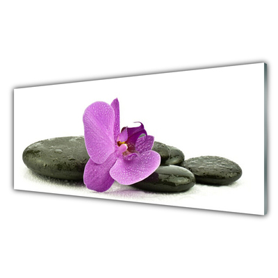 Plexiglas® Wall Art Flower stones art pink black