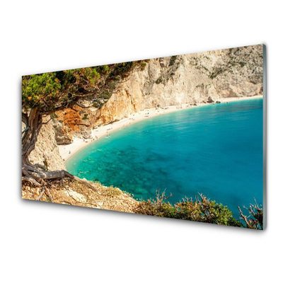 Plexiglas® Wall Art Bay tree landscape blue brown green