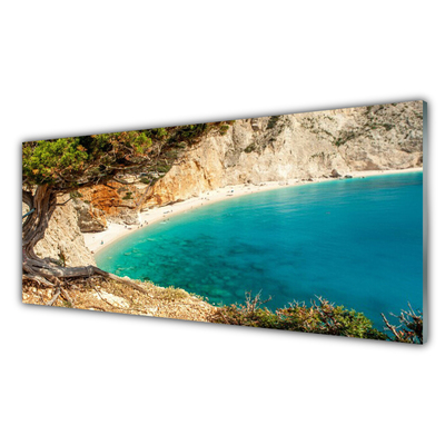 Plexiglas® Wall Art Bay tree landscape blue brown green