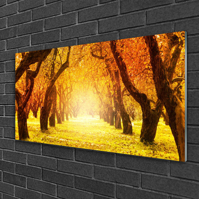 Plexiglas® Wall Art Forest footpath nature brown yellow
