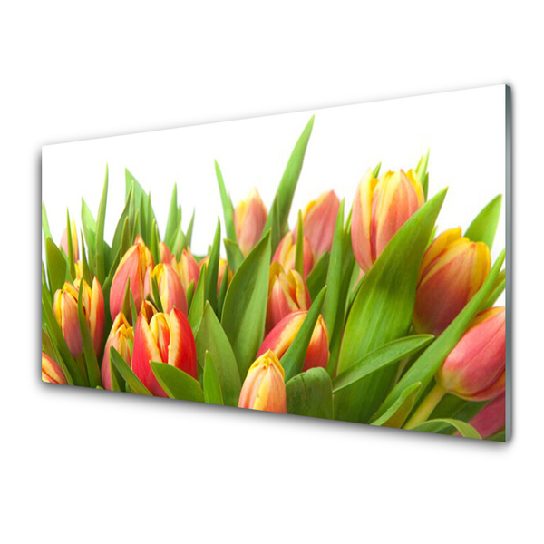 Plexiglas® Wall Art Tulips floral orange yellow