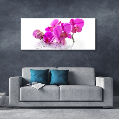 Plexiglas® Wall Art Flowers floral pink