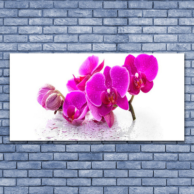 Plexiglas® Wall Art Flowers floral pink