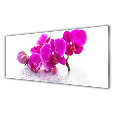 Plexiglas® Wall Art Flowers floral pink