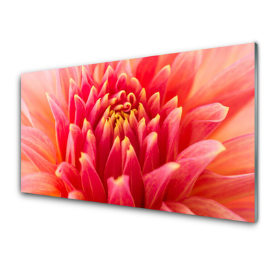 Plexiglas® Wall Art Flower floral orange