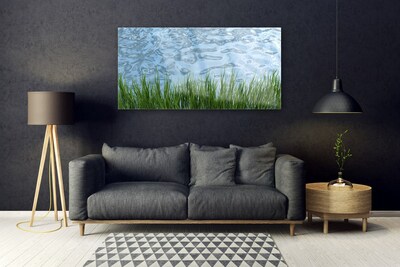 Plexiglas® Wall Art Grass water nature green blue