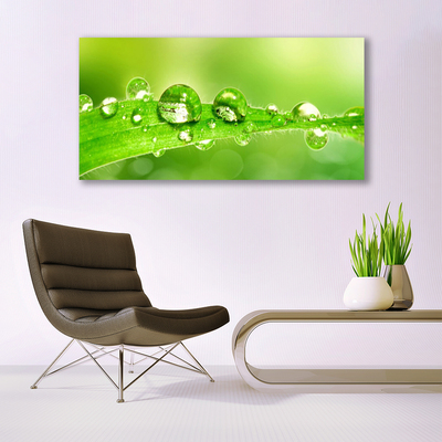 Plexiglas® Wall Art Leaf dewdrops floral green