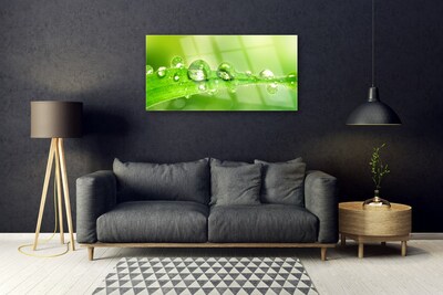 Plexiglas® Wall Art Leaf dewdrops floral green