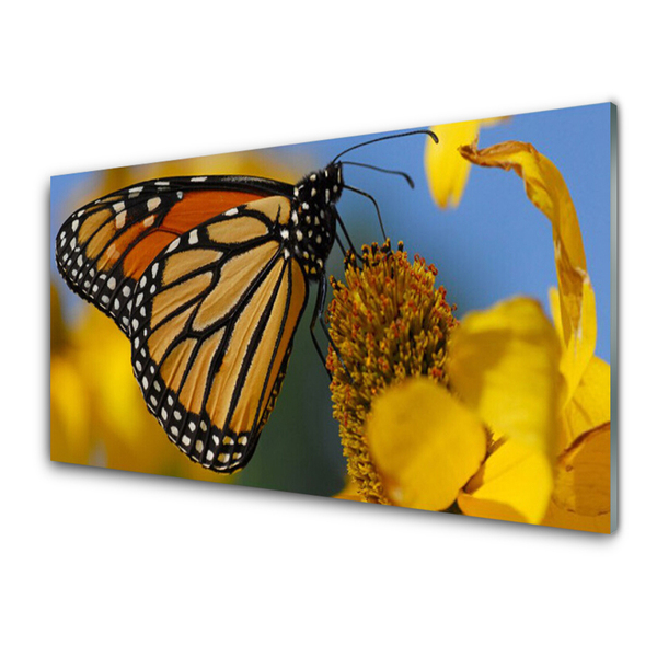 Plexiglas® Wall Art Butterfly flower nature black white yellow