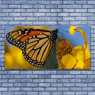 Plexiglas® Wall Art Butterfly flower nature black white yellow