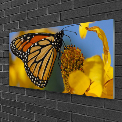 Plexiglas® Wall Art Butterfly flower nature black white yellow